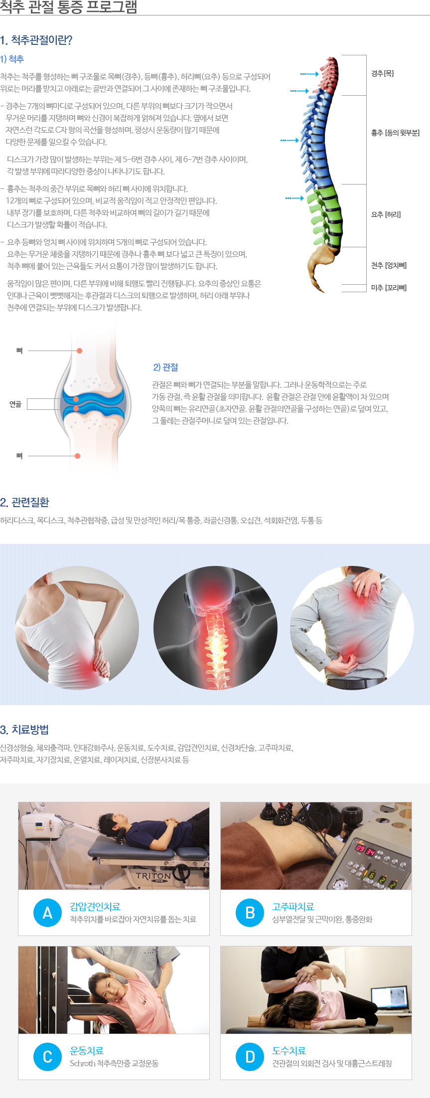 척추 관절 통증 프로그램
